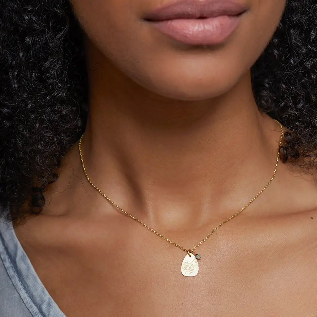 Stone Intention Charm Necklace - Rose Quartz/Silver