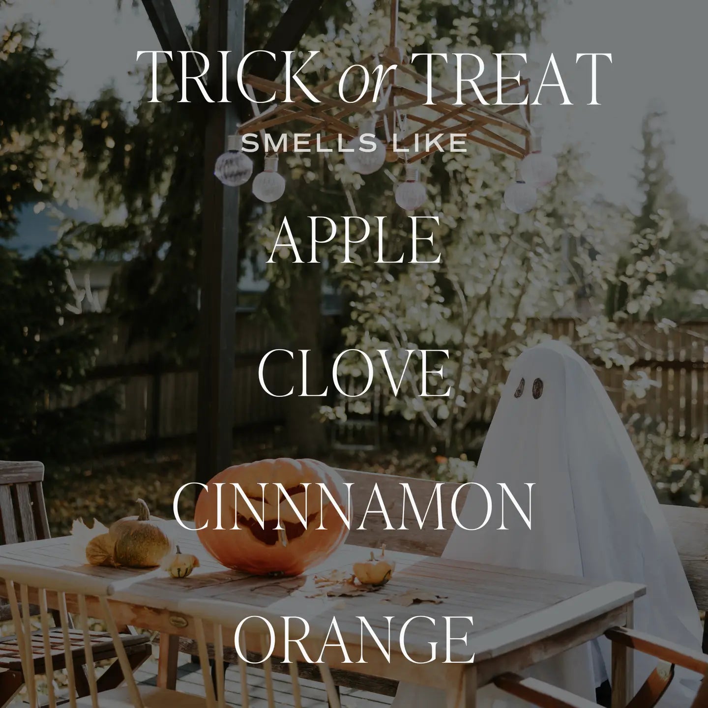Trick or Treat 9 oz Soy Candle