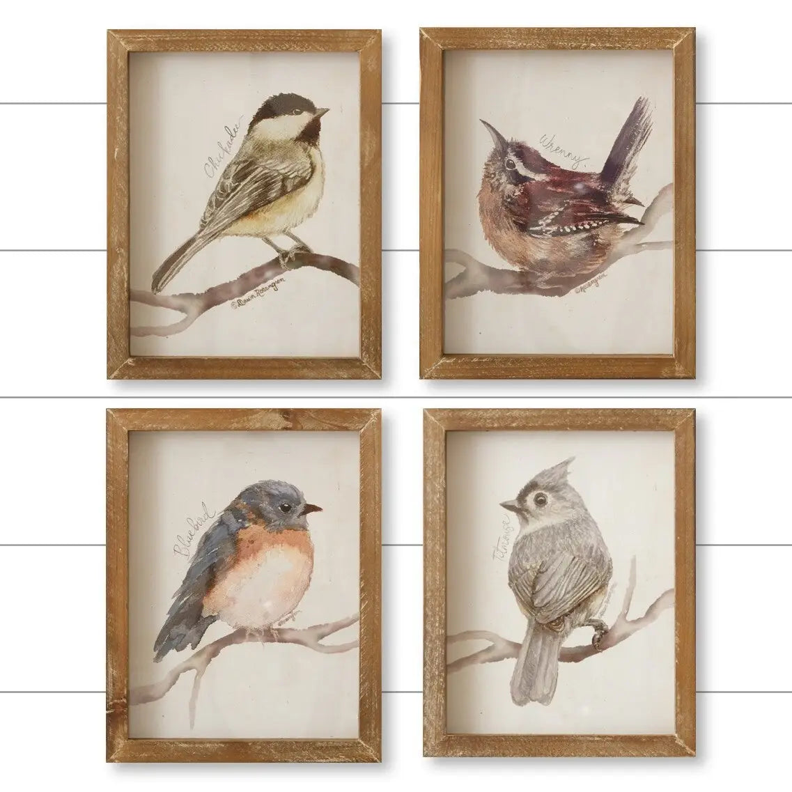 Framed Prints - Birds with Names -Blue Bird