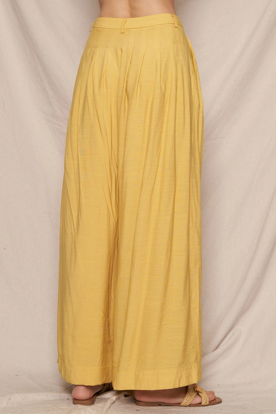 Mustard Pleated Solid Pocket Pants