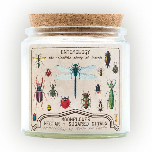 Entomology-Aromachology / Bugs / Curiosities