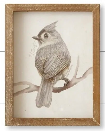 Framed Prints - Birds with Names-Titmouse