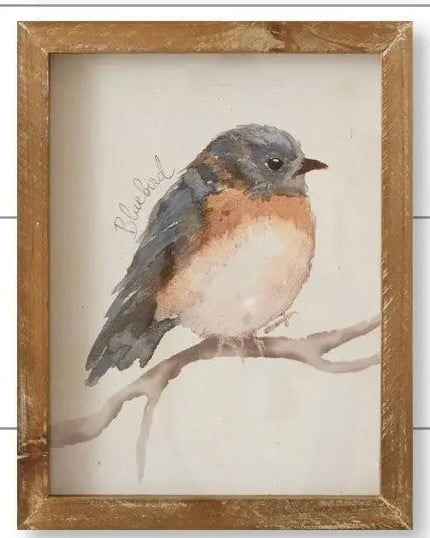 Framed Prints - Birds with Names -Blue Bird