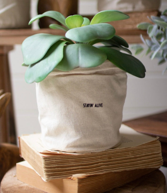 Set of 5 Canvas Planters with Sayings