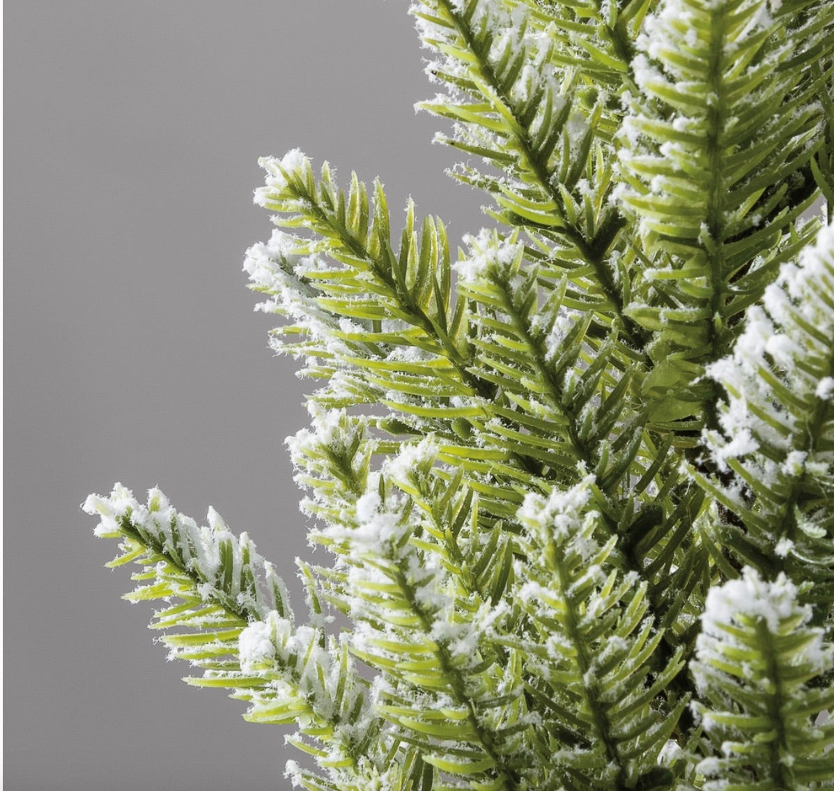 Snow  16 Tree