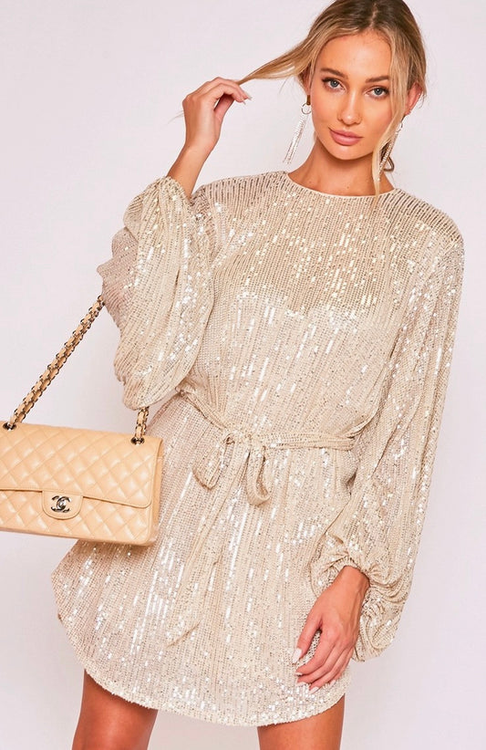 Round Neck Balloon Sleeve Sequin Mini Dress-Taupe