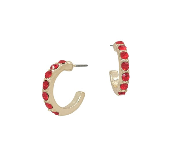 Pony Ruby Earrings