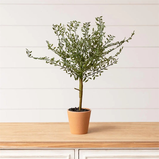 Potted Thyme Topiary