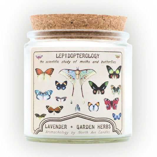Lepidopterology-Aromachology / Butterfly Candle