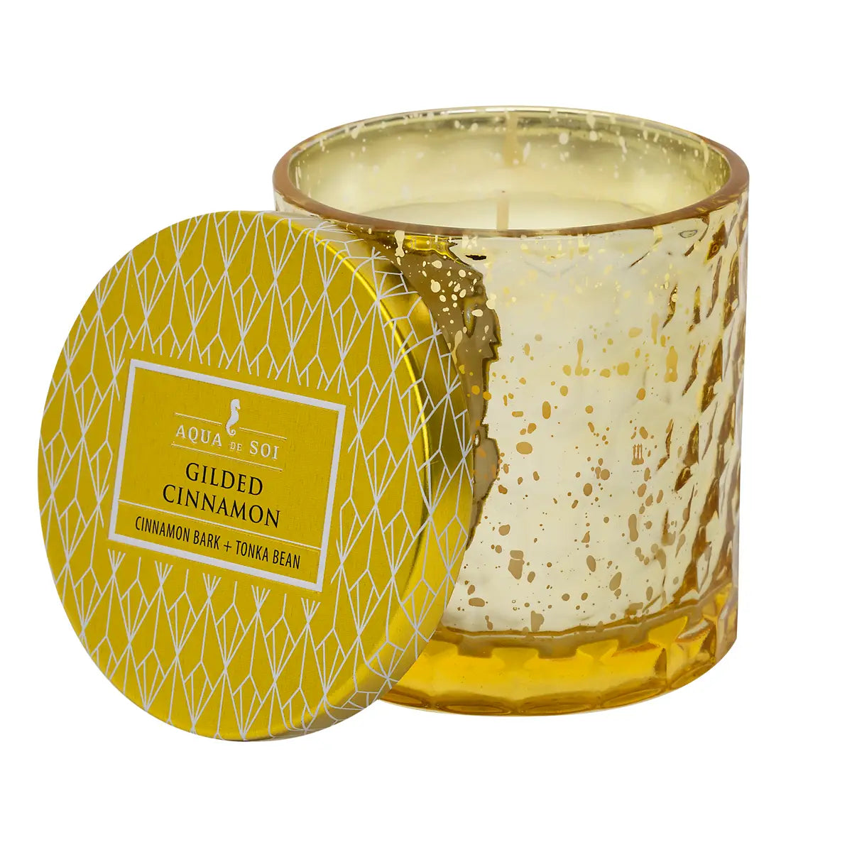 Gilded Cinnamon 5oz Holiday Jar Soy Candle