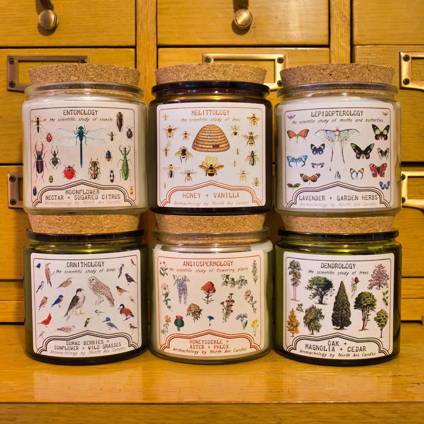 Mellitology-Aromachology / Bee Candle